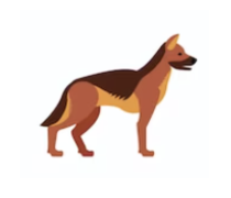 CBD perros grandes